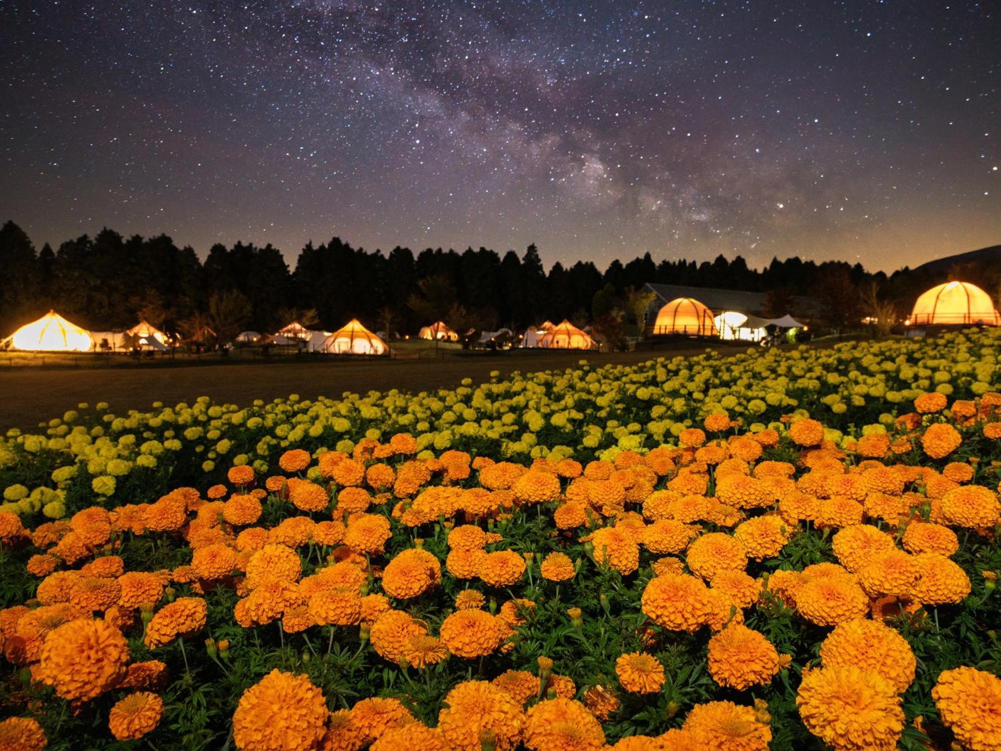 くじゅう花公園　キャンピングリゾート花と星 Kuju Eksteriør bilde