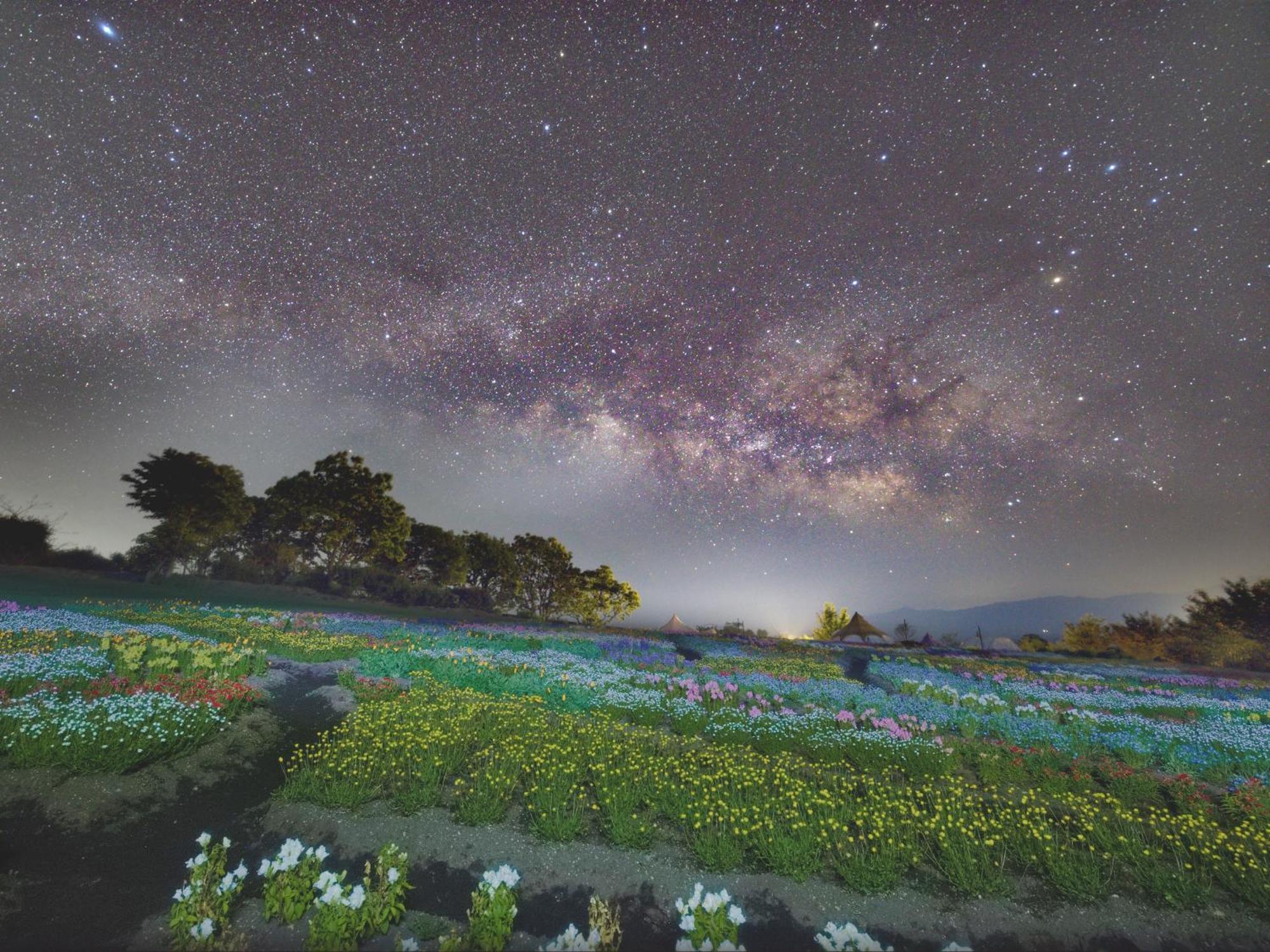 くじゅう花公園　キャンピングリゾート花と星 Kuju Eksteriør bilde