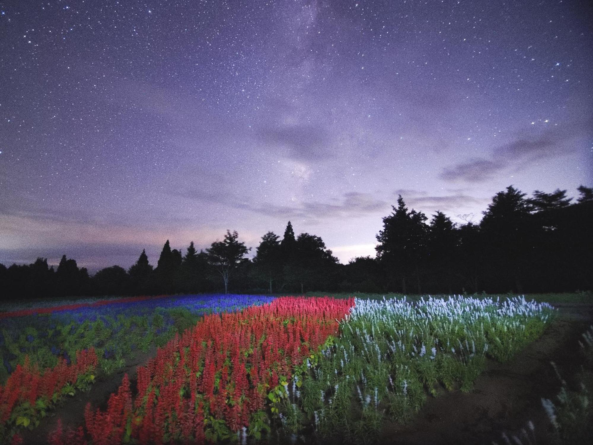 くじゅう花公園　キャンピングリゾート花と星 Kuju Eksteriør bilde