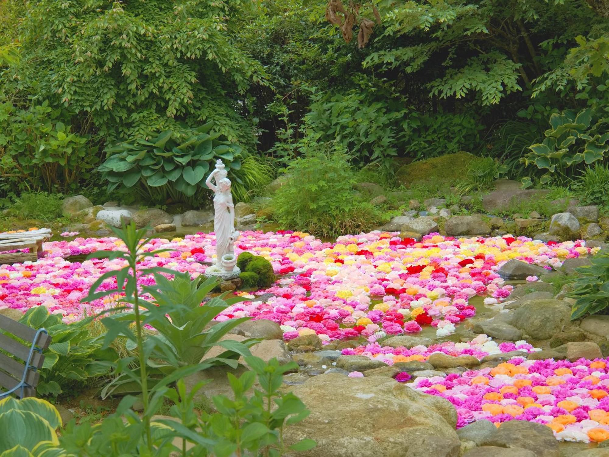くじゅう花公園　キャンピングリゾート花と星 Kuju Eksteriør bilde