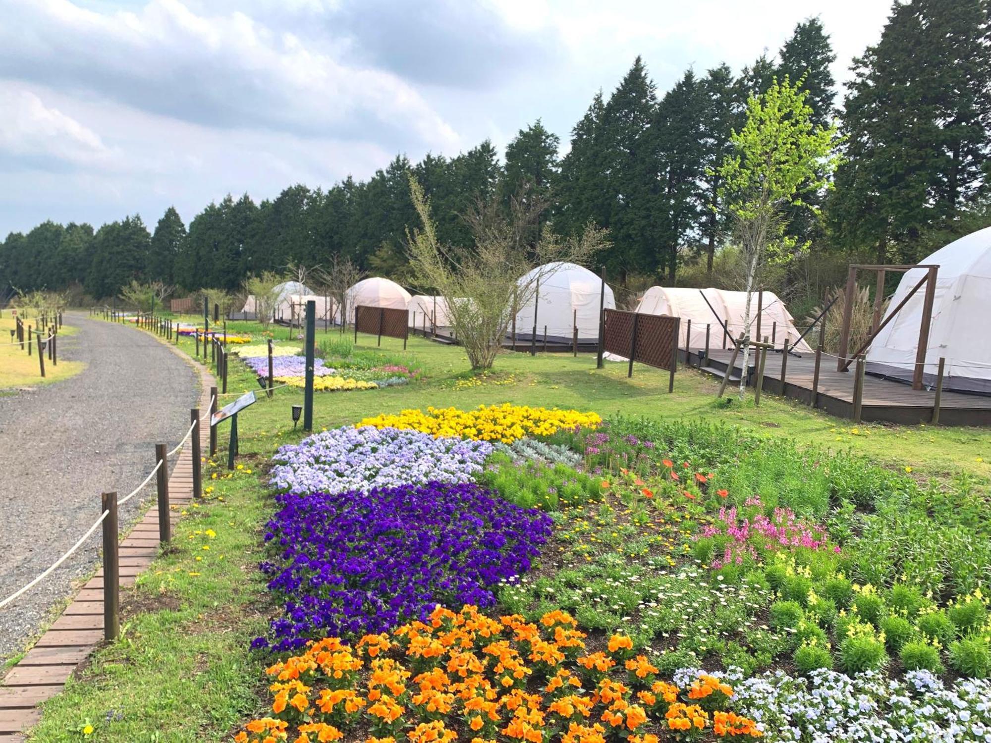 くじゅう花公園　キャンピングリゾート花と星 Kuju Eksteriør bilde