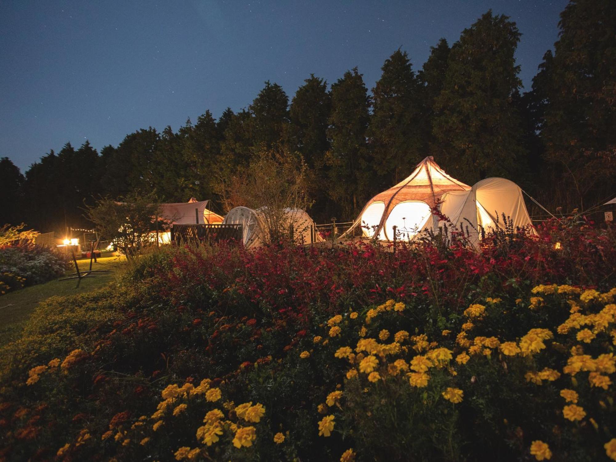 くじゅう花公園　キャンピングリゾート花と星 Kuju Eksteriør bilde