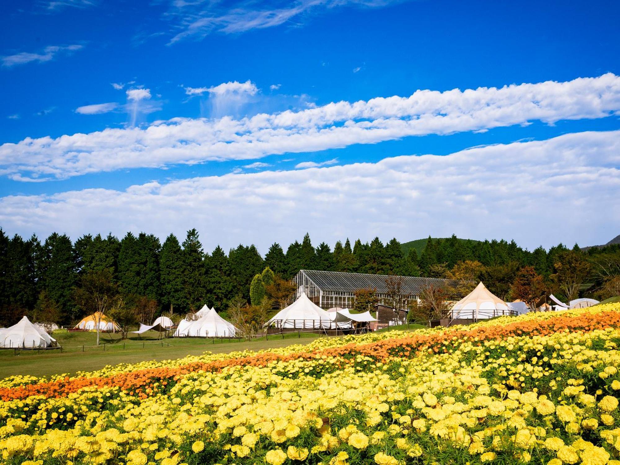 くじゅう花公園　キャンピングリゾート花と星 Kuju Eksteriør bilde