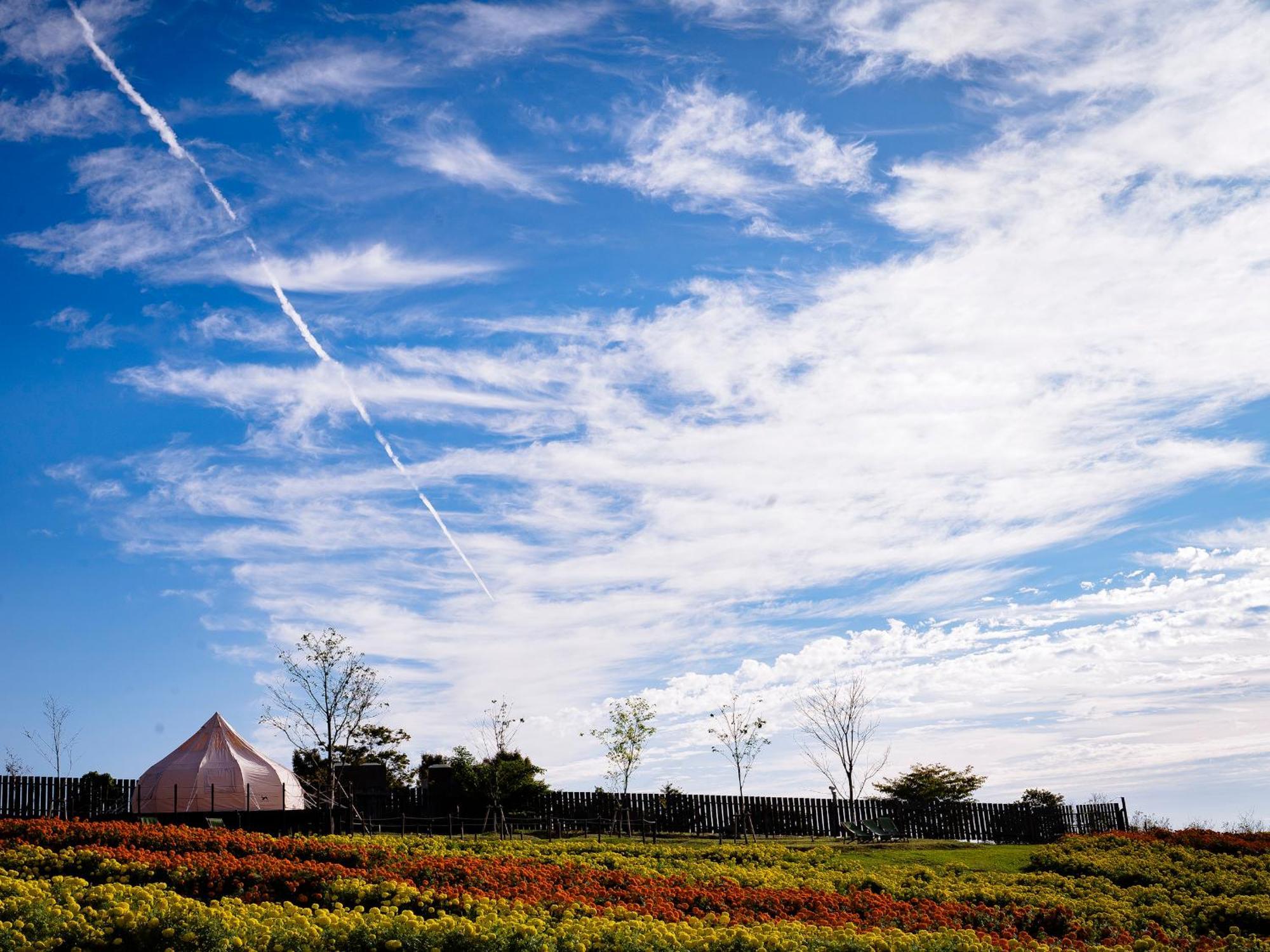 くじゅう花公園　キャンピングリゾート花と星 Kuju Eksteriør bilde
