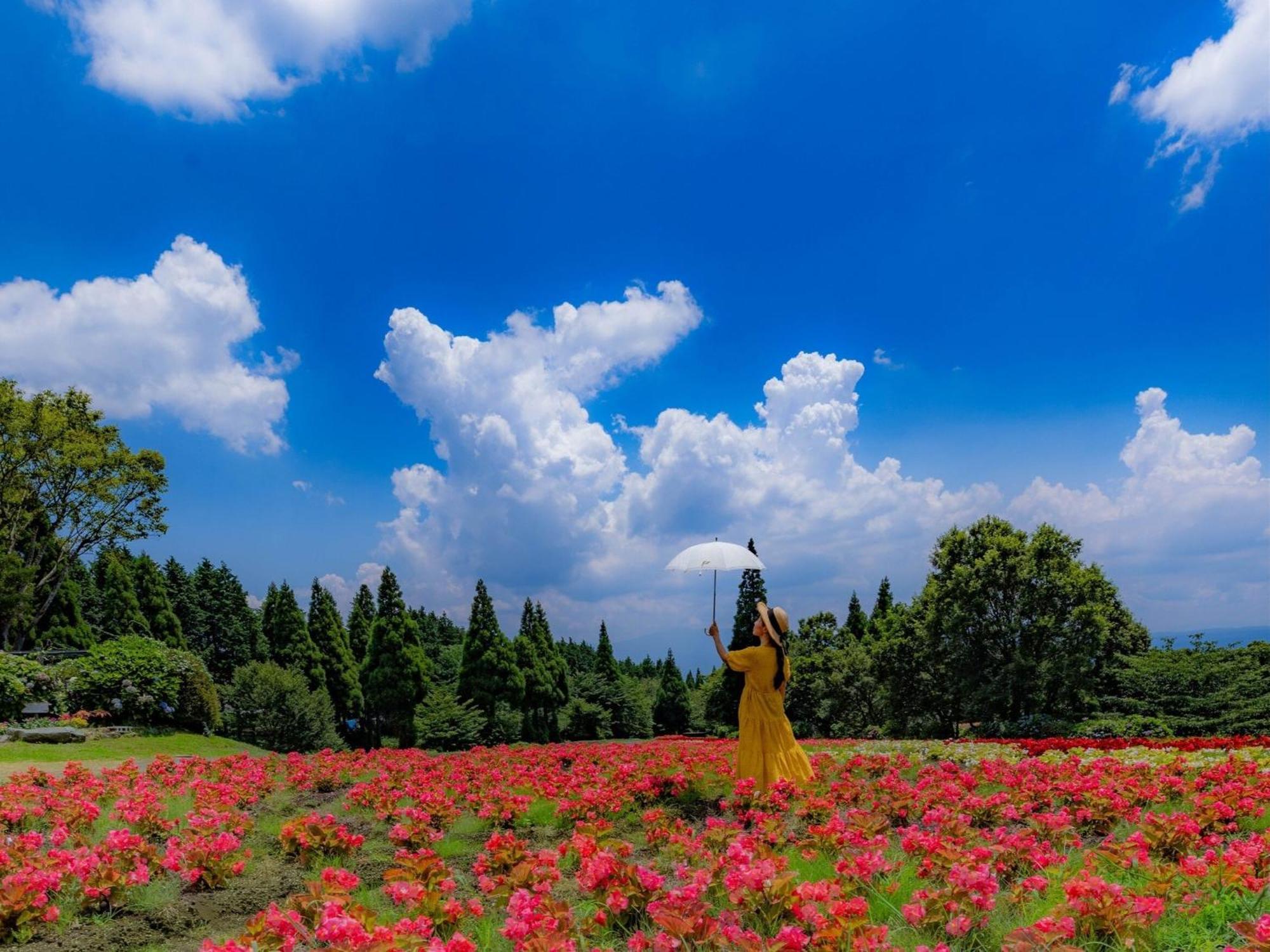くじゅう花公園　キャンピングリゾート花と星 Kuju Eksteriør bilde