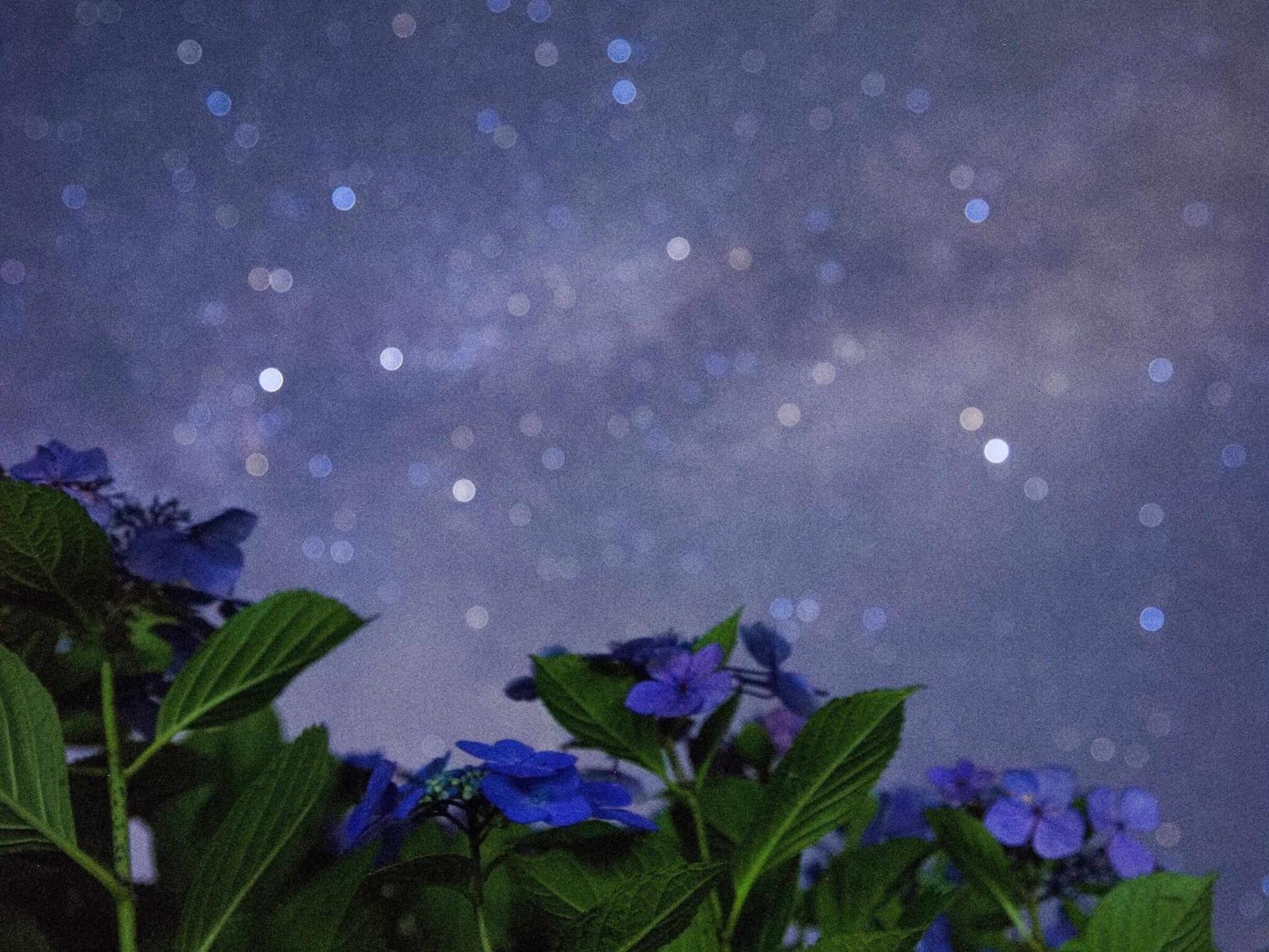 くじゅう花公園　キャンピングリゾート花と星 Kuju Eksteriør bilde