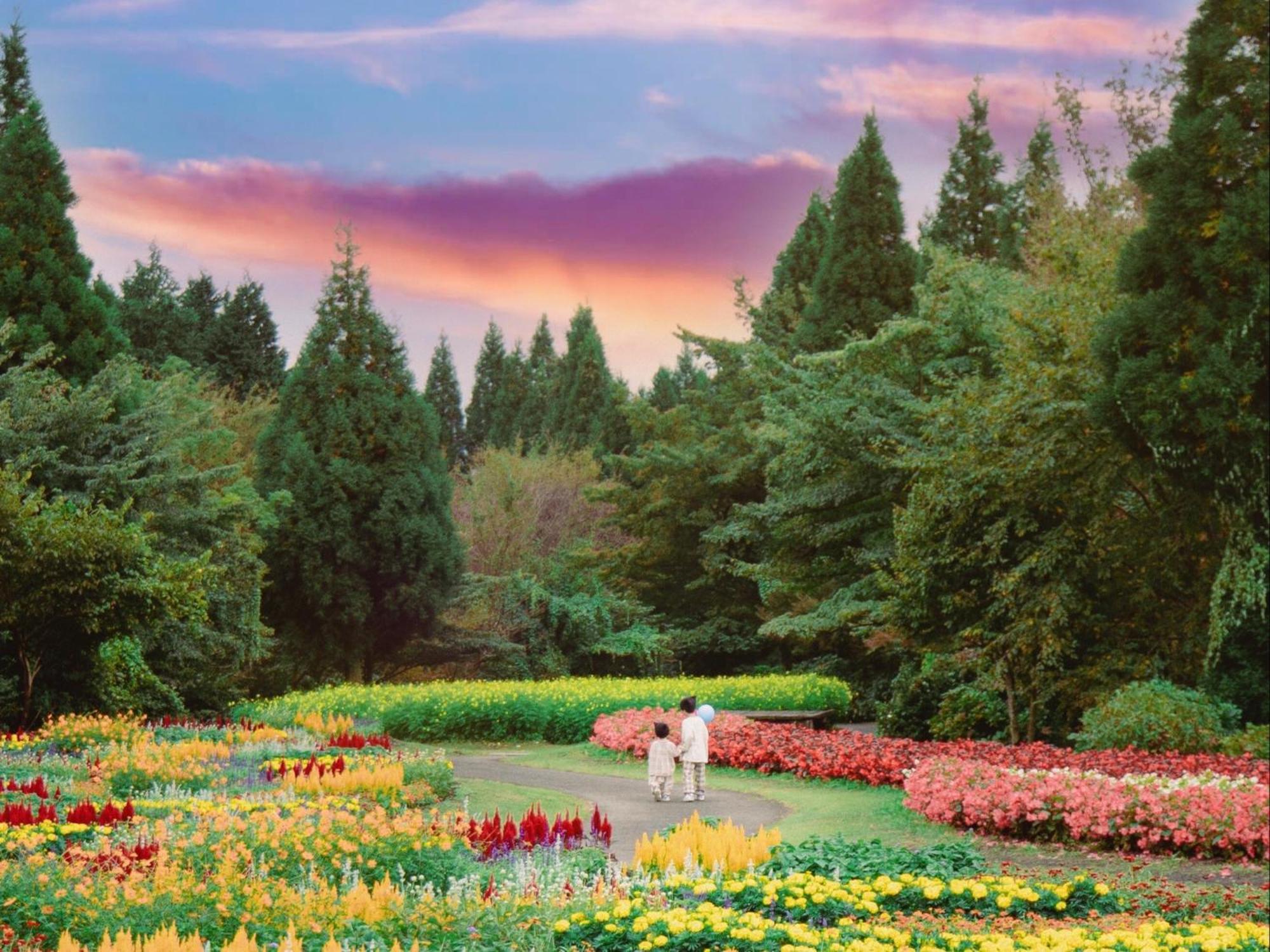 くじゅう花公園　キャンピングリゾート花と星 Kuju Eksteriør bilde